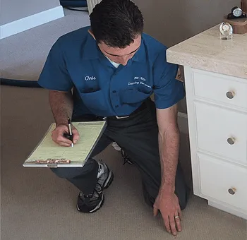 Professional Rug Fabric Protection