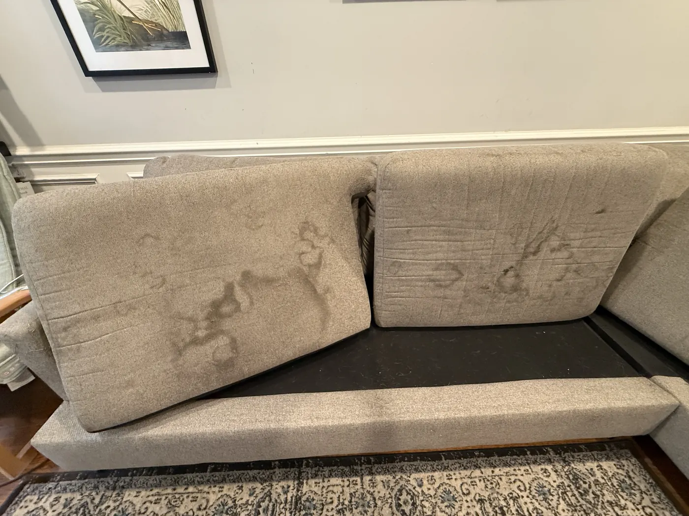 Close-up of couch cushions with brown water rings and tide marks on light-gray upholstery fabric