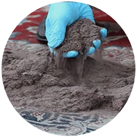 Premier Rug Cleaning | Oriental & Area Rug Cleaning Chicago