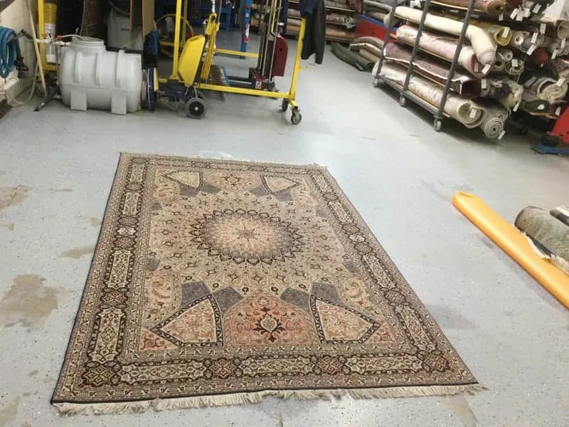 Rug before professional cleaning