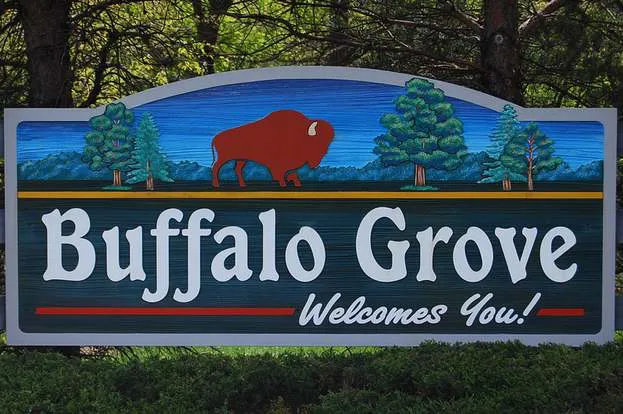 Rug cleaning services in Buffalo Grove, IL