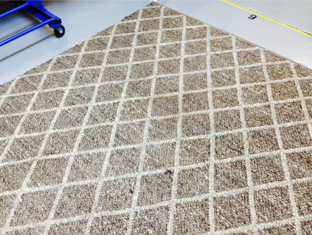 Rug after coffee stain removal