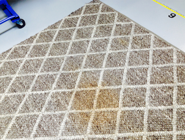 Rug with coffee stain