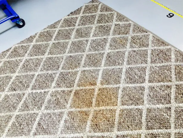 Rug with coffee stain