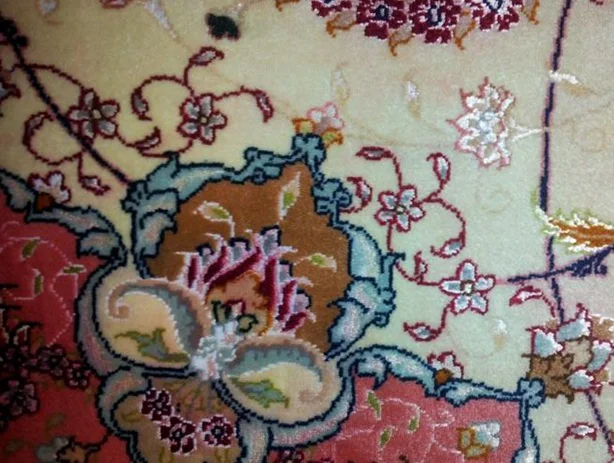 Rug color bleeding after treatment