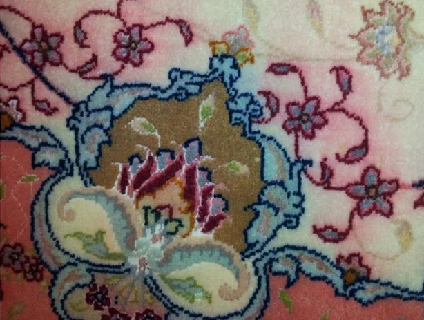 Rug color bleeding before treatment