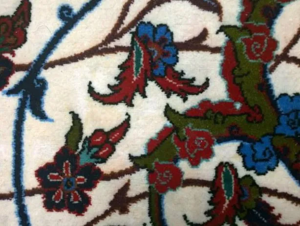 Rug after pet urine treatment