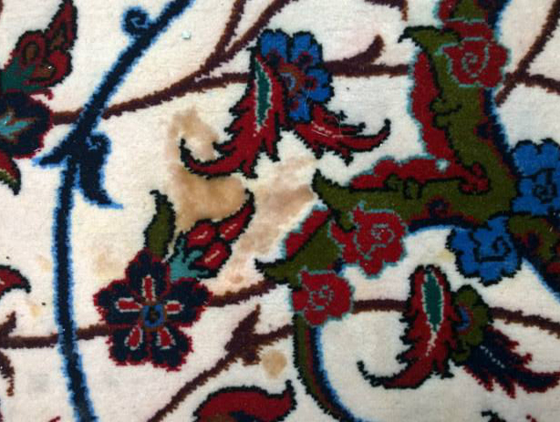 Rug with pet stains