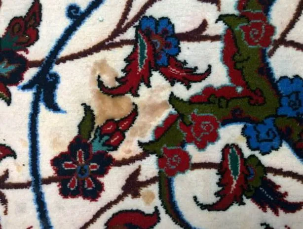 Rug with pet stains