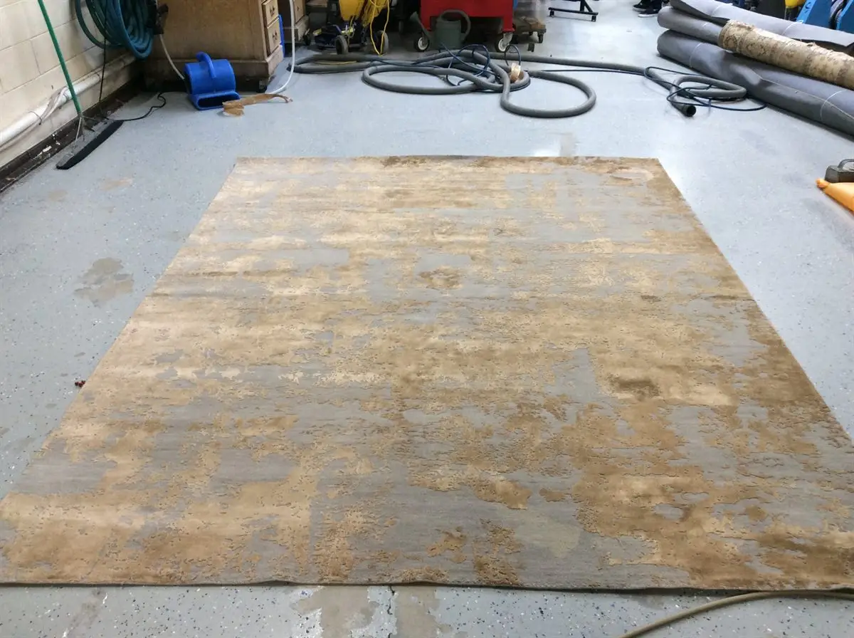 Viscose rug before cleaning service