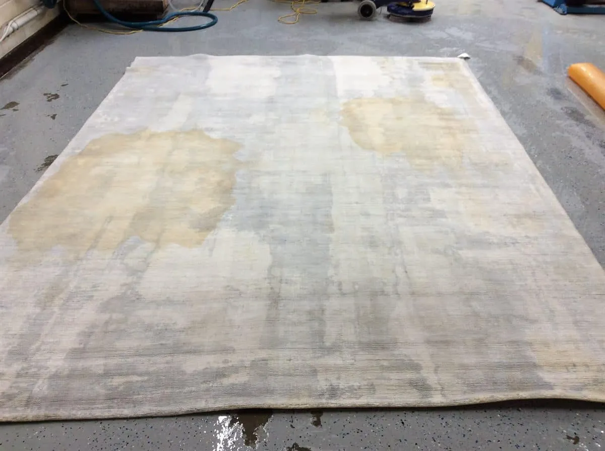 Water damaged rug